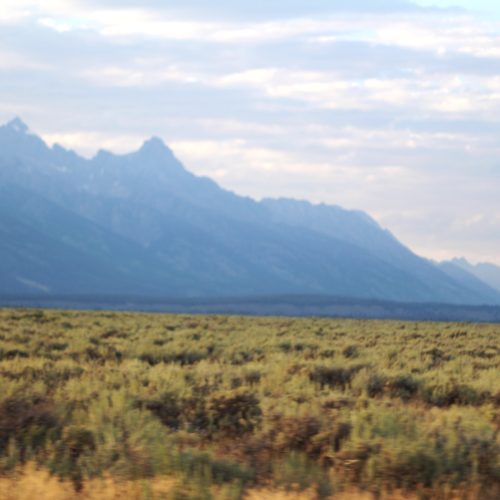 TEN THINGS TO DO IN JACKSON HOLE WY