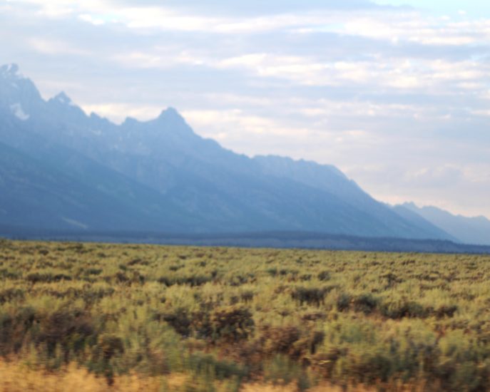 TEN THINGS TO DO IN JACKSON HOLE WY