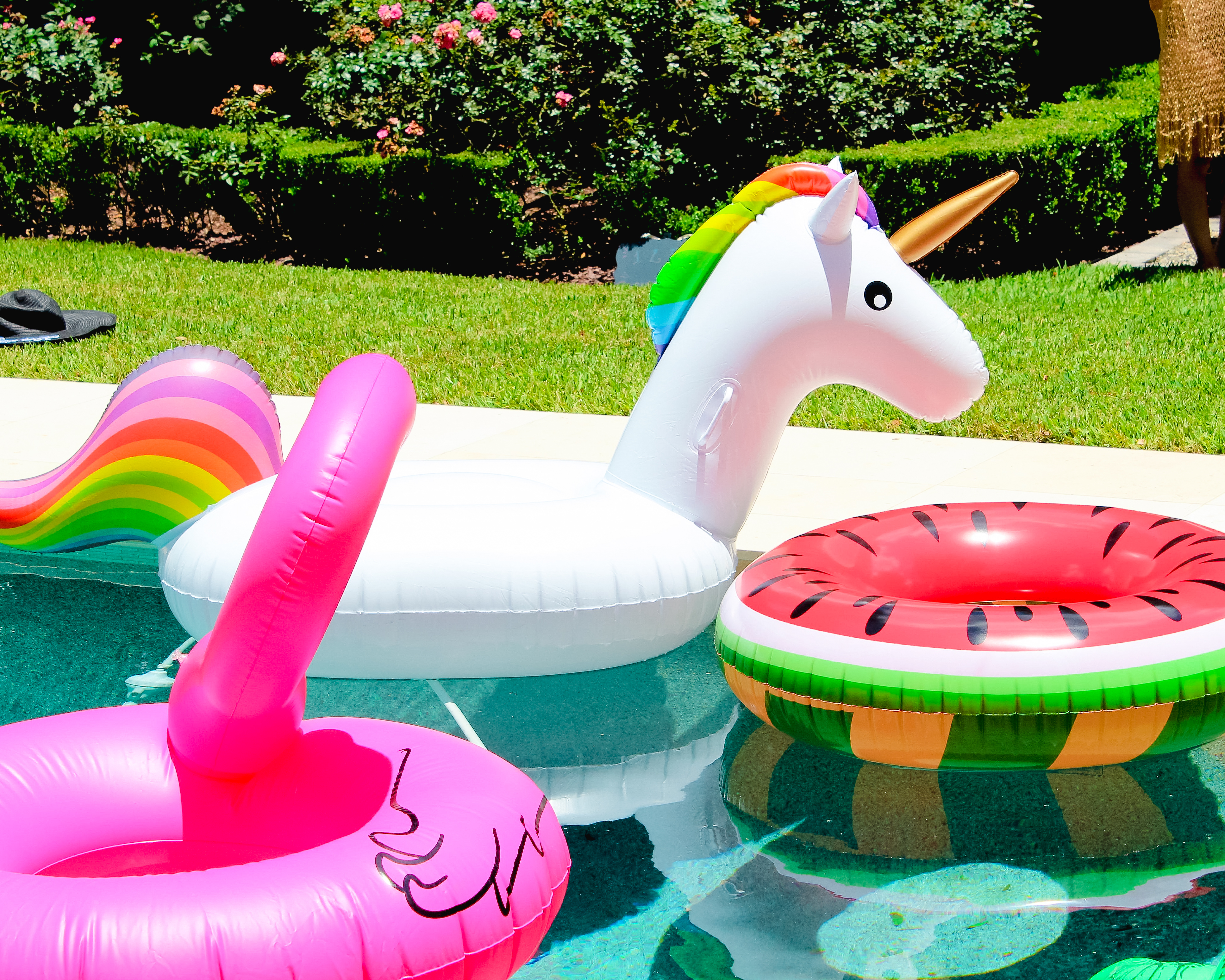 PINEAPPLE AND FLAMINGO POOL PARTY