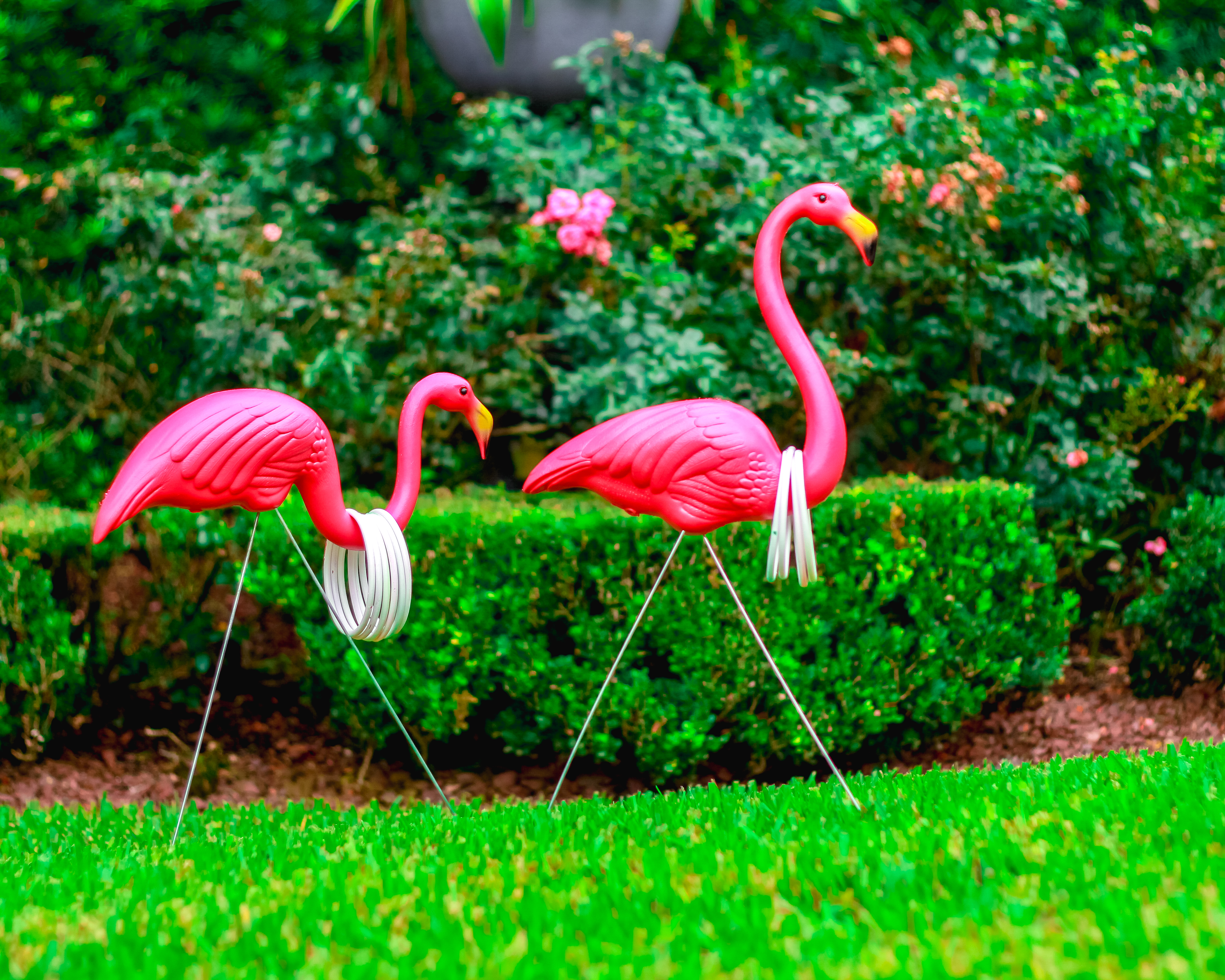 PINEAPPLE AND FLAMINGO POOL PARTY