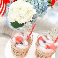 RED, WHITE, AND BLUE WINE SPRITZER